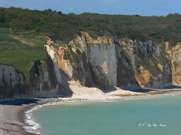 Falaise de Pourville (1) 